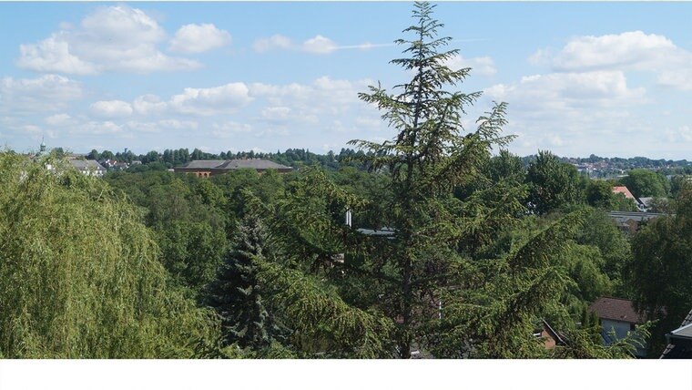 Ein neues Foto des Panoramablatts vom AUssichtsturm in Schleswig. © NDR Foto: Peer-Axel Kroeske