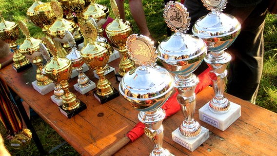 Viele Pokale stehen auf einem Tisch. © NDR Foto: Dana Frohbös