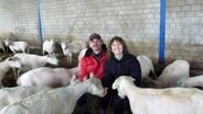 Herr und Frau Bracker sitzen in einem Stall und sind umgeben von Schafen. © NDR Foto: Frank Hajasch