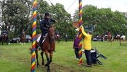 Ein Reiter reitet auf seinem Pferd unter der Vorrichtung durch, die einen Ring hält, in den der r mit einem Stab zu stechen versucht. © NDR Foto: Karin Haug