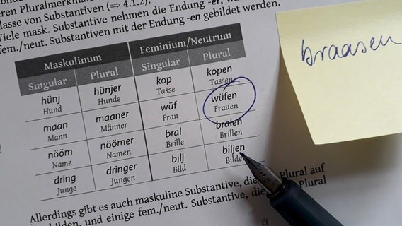 Ein Grammatiklernzettel und ein Stift  Foto: Karin Haug
