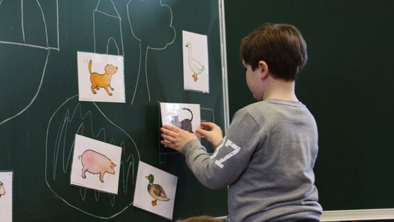 Ein Junge steht während des Plattdeutsch Unterrichts an der Tafel, welche mit Bildern bemalt und beklebt ist, und klebt ein neues Bild von einer Katze an. © NDR Foto: Rebekka Merholz