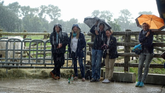 Zuschauer stehen bei Regen an einem Zaun an einer Scheune. © NDR Foto: Lornz Lorenzen