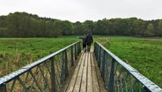 Blick auf die blaue Brücke über der Eider, auf der zwei Menschen und ein Hund entlanggehen in Richtung einer Wiese und einem Wald dahinter. © NDR Foto: Lornz Lorenzen
