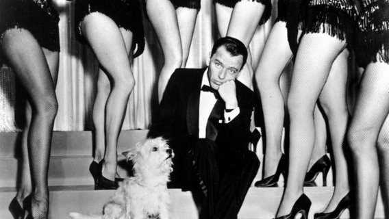 Frank Sinatra sitzt mit einem Hund auf einer Treppe und neben ihm posieren Frauen. ©  picture alliance / Mary Evans Picture Library Foto:  picture alliance / Mary Evans Picture Library