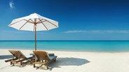 Zwei Liegen und ein Sonnenschirm am Strand. © Dmitry Ersler / fotolia Foto: Dmitry Ersler