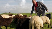 Hartwig Binge steht zwischen seinen Schafen. © NDR Foto: Cassandra Arden