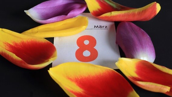 Blütenblätter einer Tulpe liegen auf einem Kalenderblatt, das den 8. März zeigt © dpa Foto: Jens Wolf