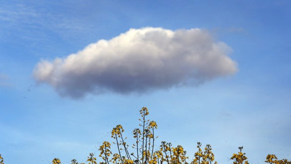 Eine Wolken am blauen Himmel. © dpa Foto: Karl-Josef Hildenbrand
