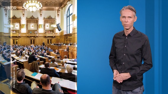 Stephan Heller erklärt die Hamburgische Bürgerschaft. © NDR Foto: Screenshot