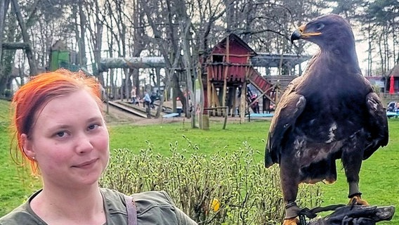 Der Zoo in Stralsund sucht seinen entflogenen Adler. © Zoo Stralsund 