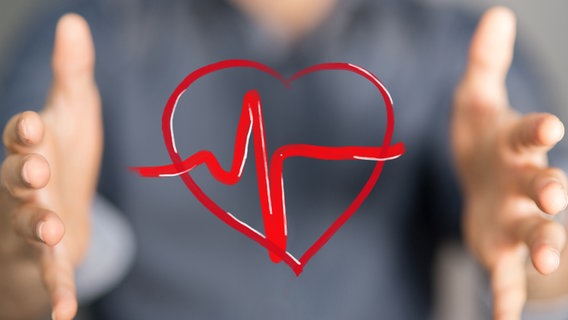 Gemaltes Herz mit Kardiokurve © fotolia Foto: vege