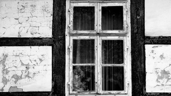 Das Fenster eines alten Fachwerkhauses ist sehr porös. Innen ist es dunkel. © frau.L. / photocase.de 