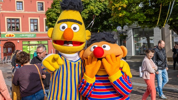 Ernie und Bert zu Besuch auf dem Marktplatz in Güstrow. © NDR / Axel Herzig Foto: Axel Herzig