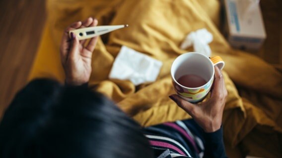 Erkältete Frau mit dampfenden Tee und Thermometer in der Hand. © fotolia Foto: Peter Bernik