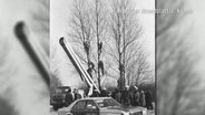 Ein Foto aus dem Hamburger Abendblatt von '86 zeigt die Polizei im Einsatz gegen Baumbesetzer.  Foto: J. Körner (Hamburger Abendblatt)