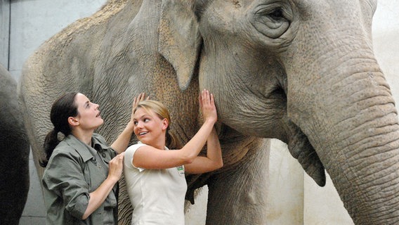 Susanne Mertens (Elisabeth Lanz, l.) und Pflegerin Anett (Anna Bertheau, r.) untersuchen das Ohr einer Elefantenkuh. © ARD/Christa Köfer 
