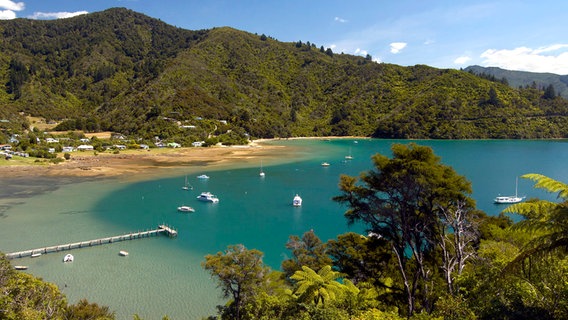 Grüne Küstenlinie und türkisblaues Wasser: Die Marlborough Sounds in Neuseeland. © NDR/nonfictionplanet/Destination Marlborough 