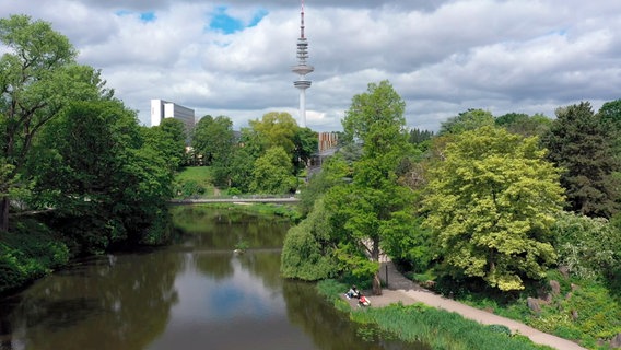 Der Wallgraben ist ein sehr naturnaher Bereich des Hamburger Parks Planten un Blomen. © NDR 