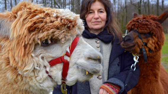 Für Tiertrainerin und Bauernhofpädagogin Jutta Kanzler sind Alpakas die "Delfine der Weide". © NDR/produktion clipart 