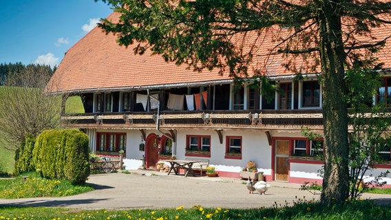 Der Fallerhof im Scharzwald © SWR/Sebera 