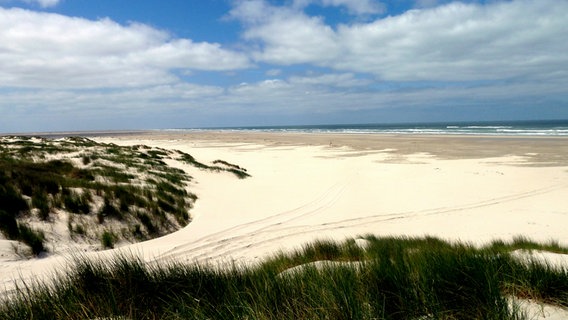 Fünf Inseln mit 117 Kilometern Strand: Hollands Nordseeinseln. © © NDR/Karsten Wohlrab , honorarfrei 
