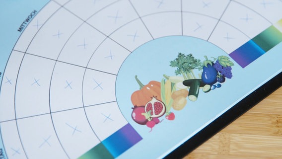 Ein Zettel mit einem Wochenplan in Form eines Regenbogens, um anzukreuzen, welche Farbe von Gemüse und Obst man schon gegessen hat. © Screenshot Foto: Oliver Zydek/Moritz Schwarz