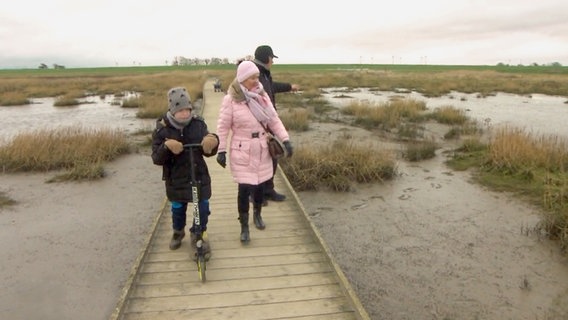 Eine Familie macht einen Spaziergang durchs Wattenmeer im Langwarder Groden bei Fedderwardersiel.  