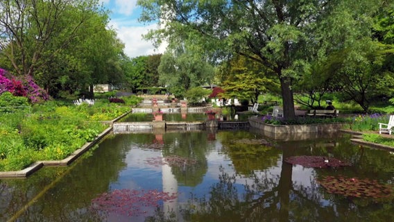 Brunnen, Blumen und Pflanzen in Hamburgs Parkanlage 'Planten un Blomen'. © NDR 