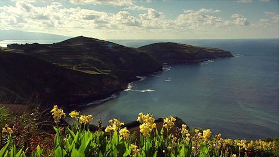 Als Betrachter schaut man von einer Anhöhe über die Hügel einer Insel, die sich über dem blauen Meer erheben, im Vordergrund gelbe Blumen.  