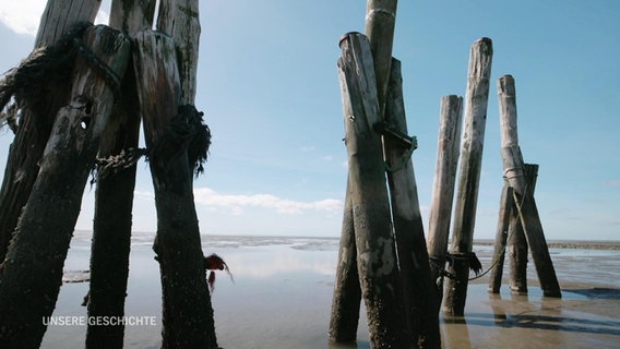 Holzpfähle im Watt der Nordsee bei Ebbe. © Screenshot 
