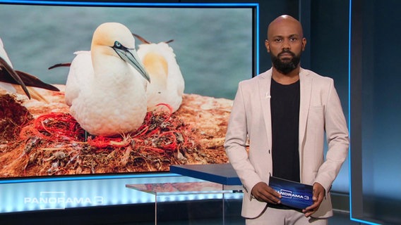 Moderator Aimen Abdulaziz-Said vor einem Beitrag zu von Plastikmüll bedrohten Seevögeln. © Screenshot 