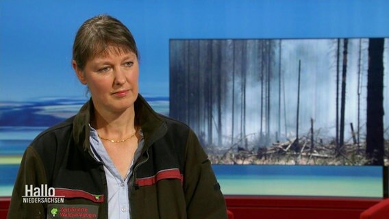 Waldpädagogin Elke Urbansky steht im Studio von Hallo Niedersachsen vor einem Bild eines abgebrannten Walds. © Screenshot 