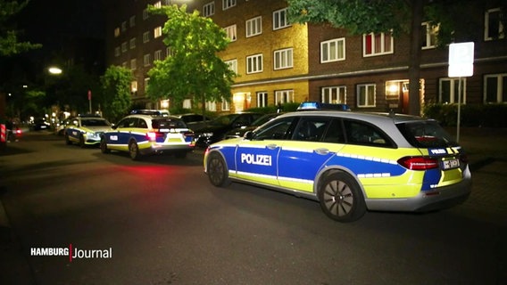 Mehrere Polzeiautos am Straßenrand. © Screenshot 