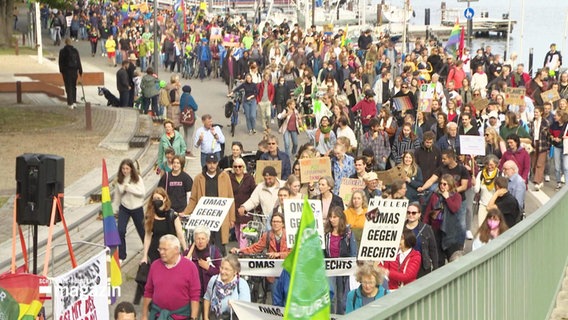 Bei einer Klima-Demo sind viele Menschen auf einer Straße an einem Ufer unterwegs und halten bunte Schilder und Transparente mit Forderungen in die Luft. © Screenshot 