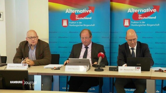 Bei einer Pressekonferenz sitzen drei Vertreter der AfD in Hamburg an einem Tisch. © Screenshot 