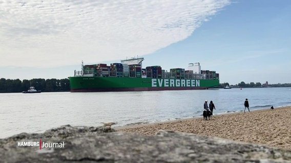 Die Evergreen kommt in Hamburg an. © Screenshot 