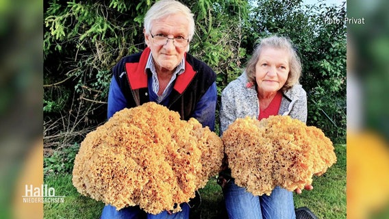 Pilzsammler finden zwei riesige Pilze. © Screenshot 
