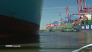 Rechts die Krähne vom Hamburger Hafen. Links ein riesig wirkender Rumpf eines Containerschiffes. © Screenshot 