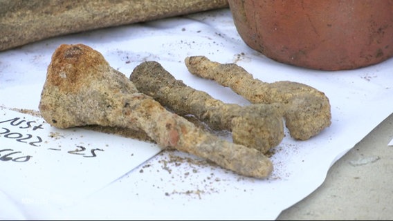 Nägel aus dem Mittelalter an einer Bremer Ausgrabungsstätte. © Screenshot 