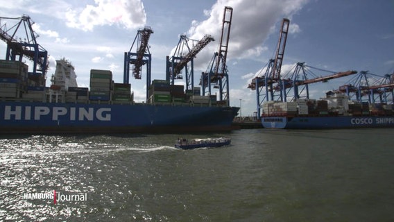 Der Hamburger Hafen von der Elbe betrachtet. © Screenshot 