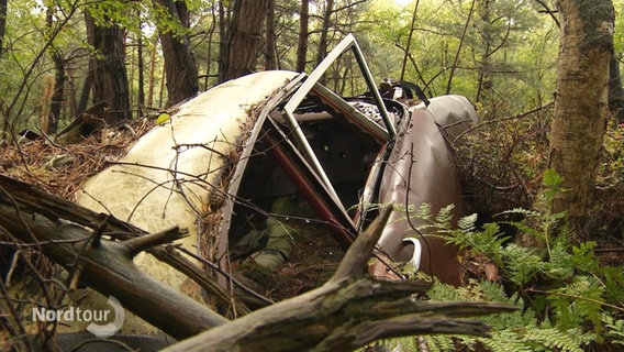 Ein Auto-Wrack im Wald. © Screenshot 
