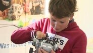 Ein Schüler werkelt an seinem Lego-Roboter. © Screenshot 