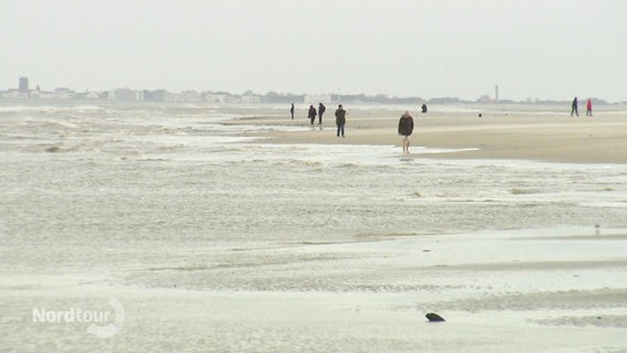 Menschen laufen am Strand entlang. © Screenshot 