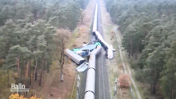 Zwei Züge sind miteinander kollidiert. © Screenshot 