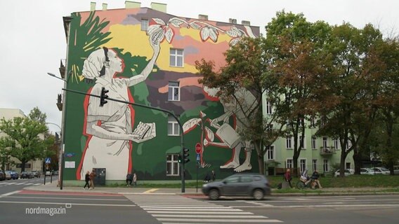 Bemalte Fassade eines Wohnhauses in Lodz. © Screenshot 
