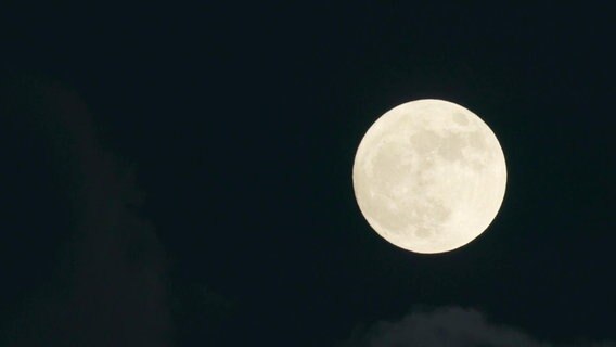 Ein großer runder Mond am Nachthimmel. © Screenshot 