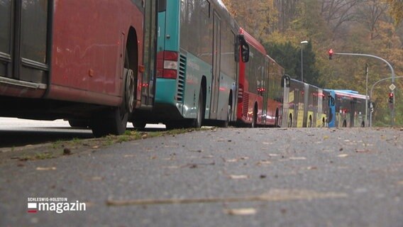 Fünf Busse stehen hintereinander aufgereiht in einer Kette. © Screenshot 