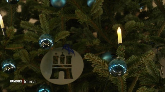 Beleuchtung an einem Weihnachtsbaum. © Screenshot 