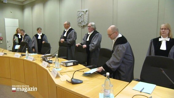 Richter des Landesverfassungsgerichtes Schleswig-Holstein betreten einen Gerichtssaal. © Screenshot 